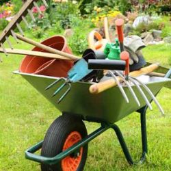 Иконка канала Ах Дача Даченька