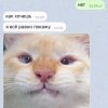 Иконка канала Koshako3