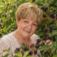 Иконка канала Бабушка из Приморья