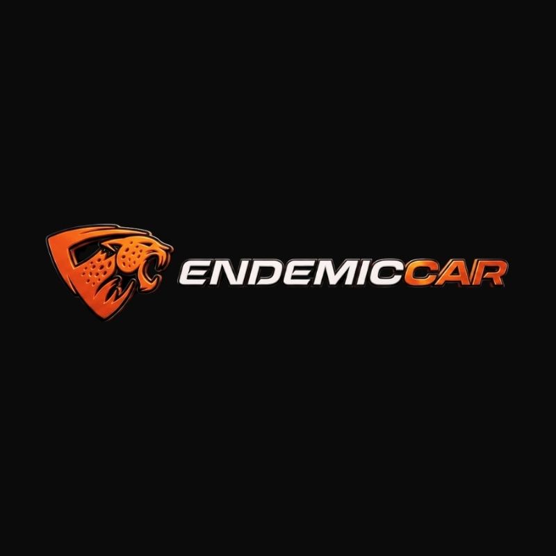 Иконка канала Endemic Car — студия оклейки и детейлинга в Москве