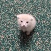 Иконка канала Светлана Макаренко
