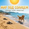 Иконка канала Мир под солнцем