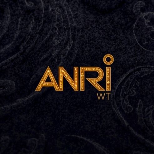 Иконка канала Anri W.T. & LfRemix64