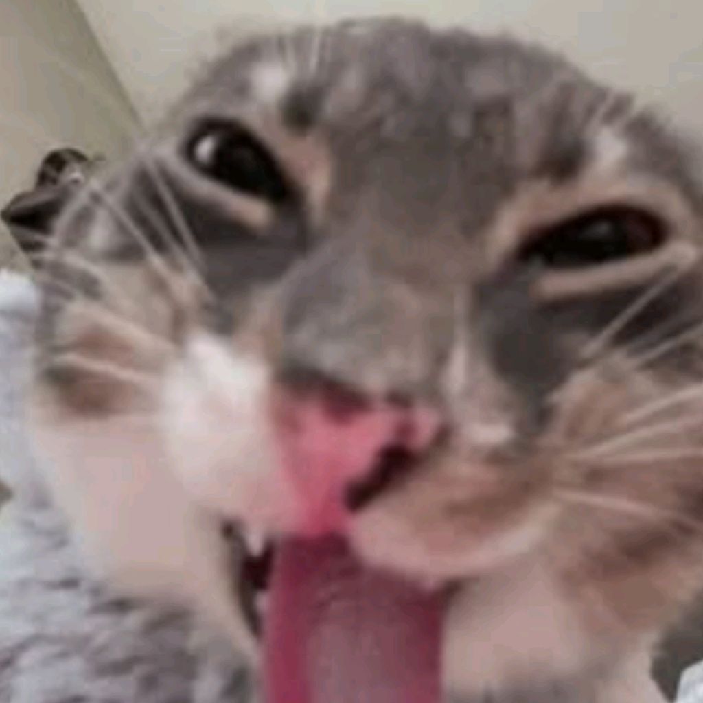 Иконка канала (´﹃｀) Koshara Tupaya (Цой Жив)