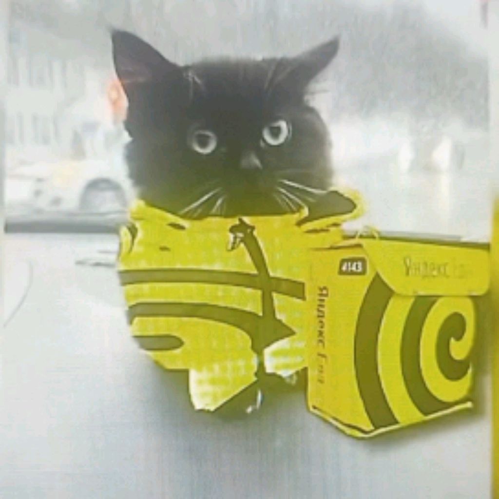 Иконка канала Прикол.11