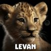 Иконка канала LEVAN PRO