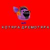 Иконка канала Котяра Дремотяра✔️