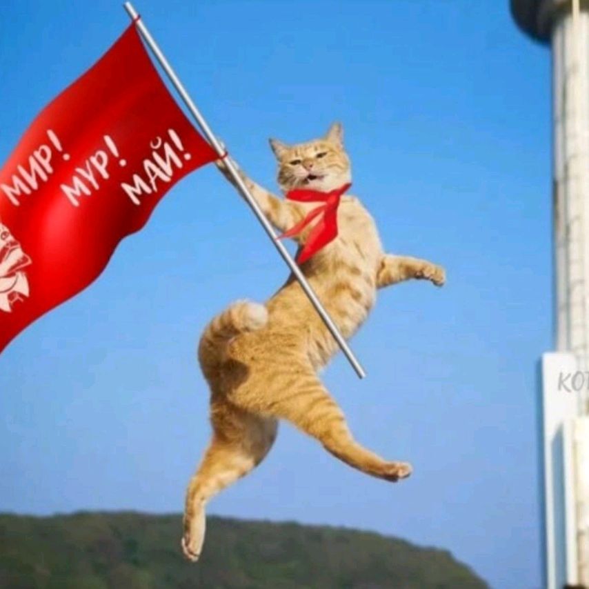 Иконка канала Мемы Отборные|Рутуб Первомая