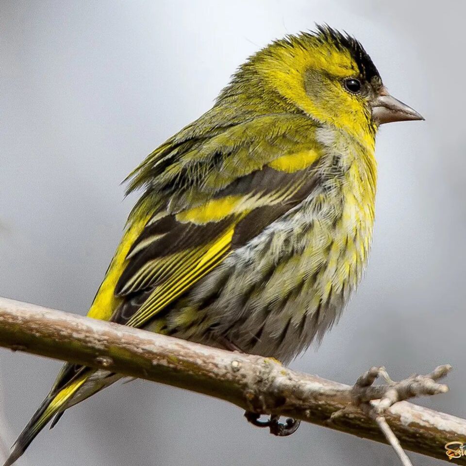 Иконка канала 24aquabooking.ru