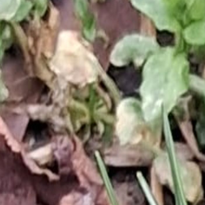 Иконка канала 1111201