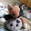 Иконка канала котик