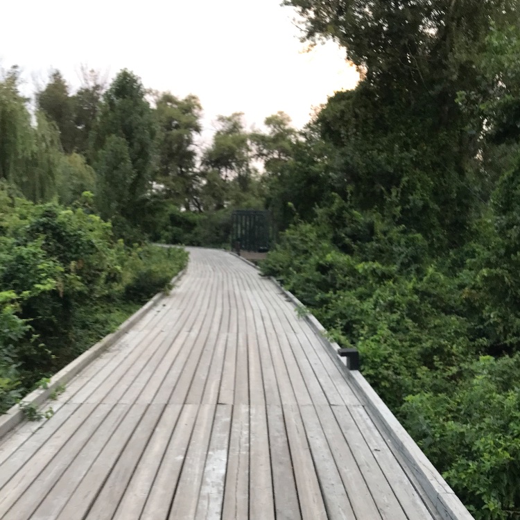 Иконка канала Murat_1977