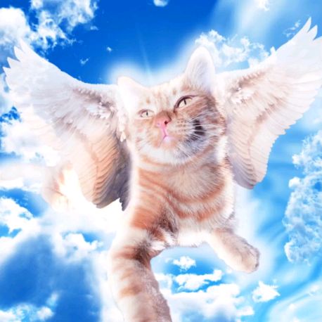 Иконка канала Симба Умер