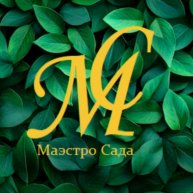 Иконка канала МаэстроСада