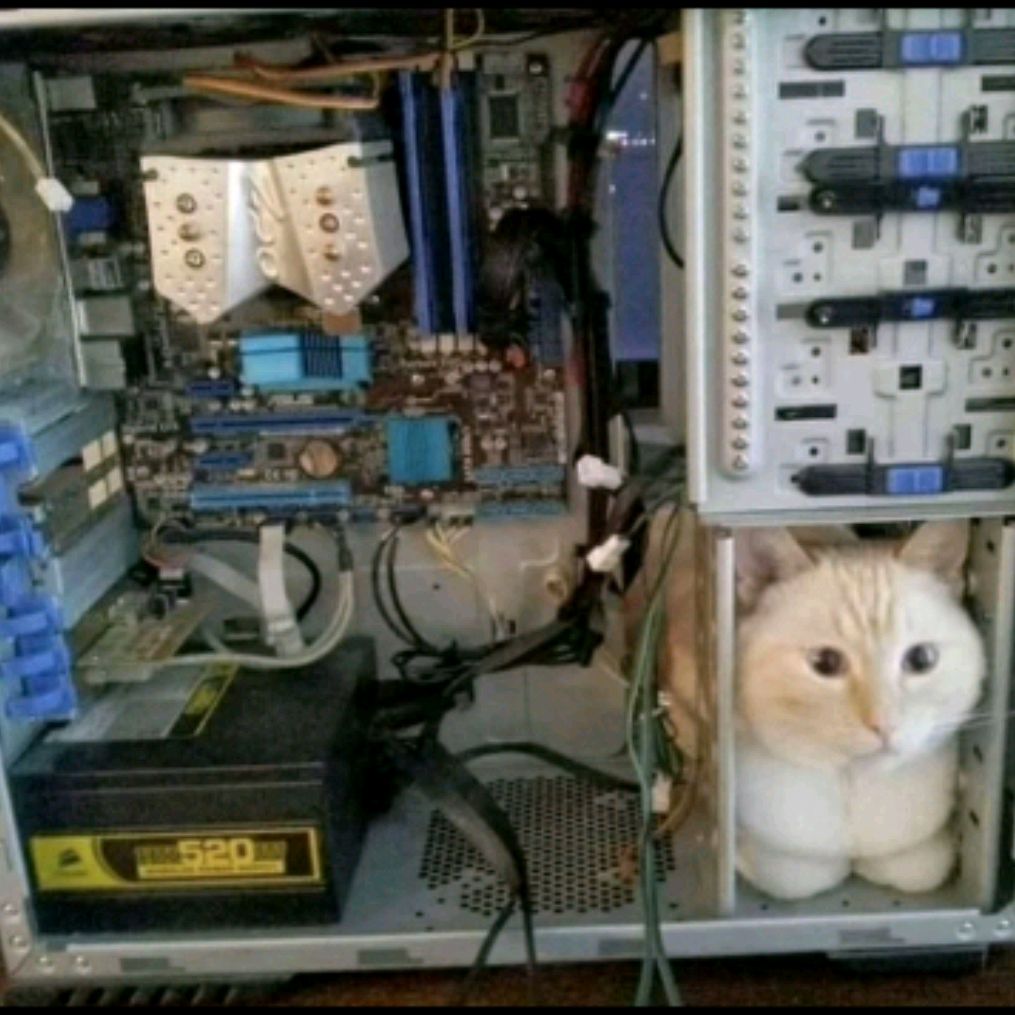 Иконка канала Пумпум