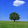 Иконка канала Гопник228