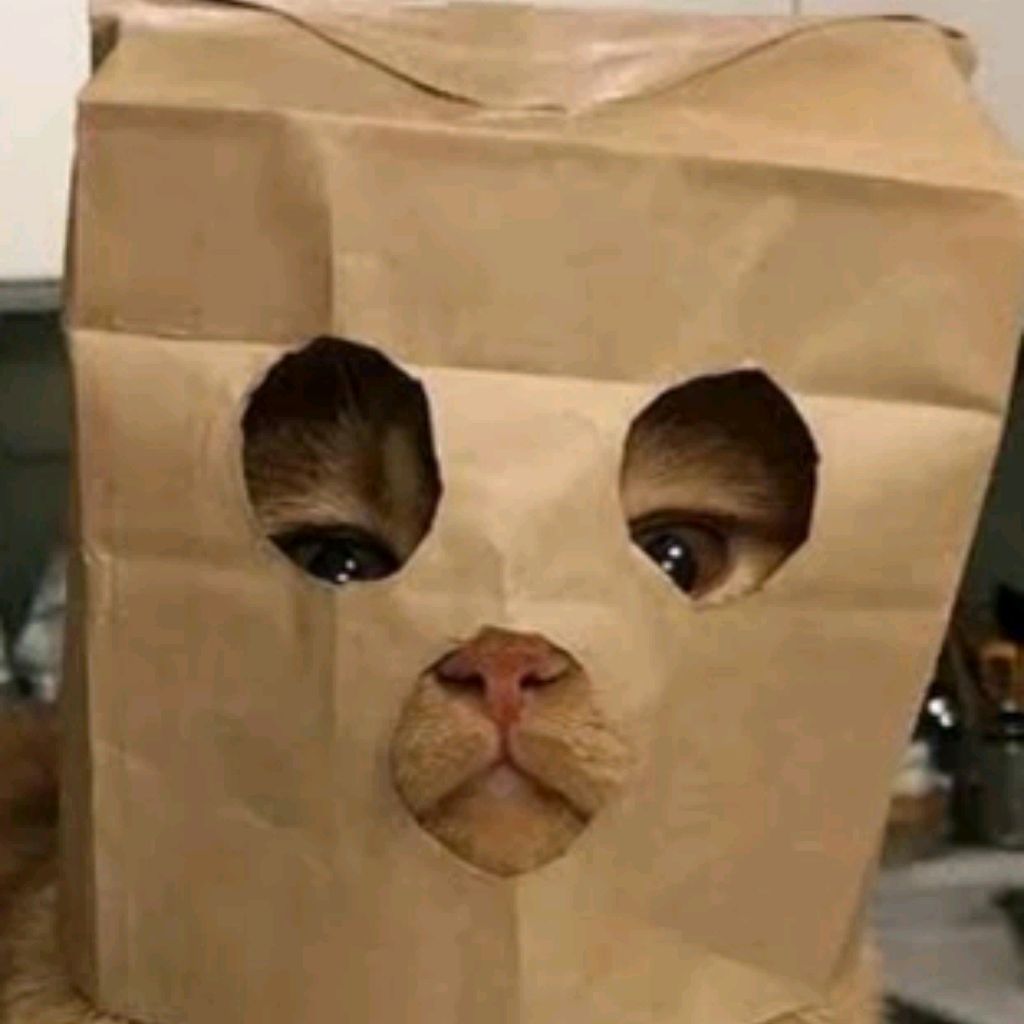 Иконка канала катейка райф