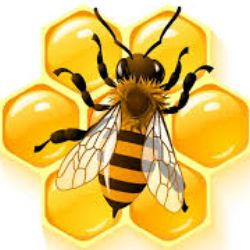 Иконка канала Эко Пасека