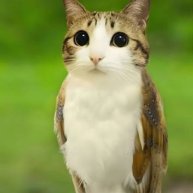 Иконка канала Artemiy