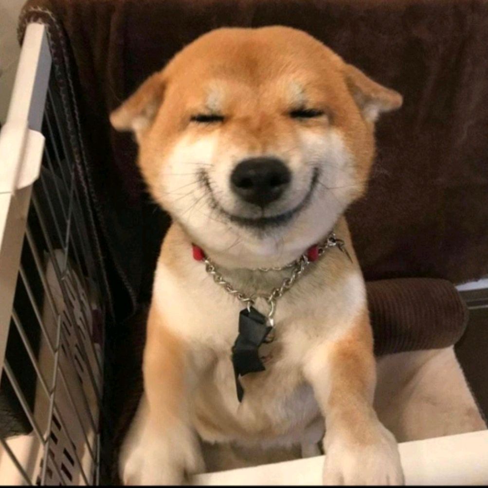 Иконка канала PrikhodkoMaxim