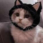 Иконка канала ТИКИ КОТИК😹