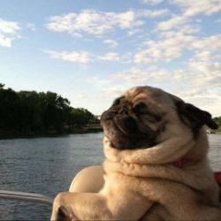 Иконка канала ПРИКОЛЫ 24/7