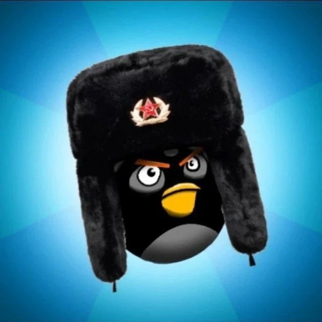 Иконка канала RussianRobosplaatFan2014