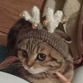 Илеана