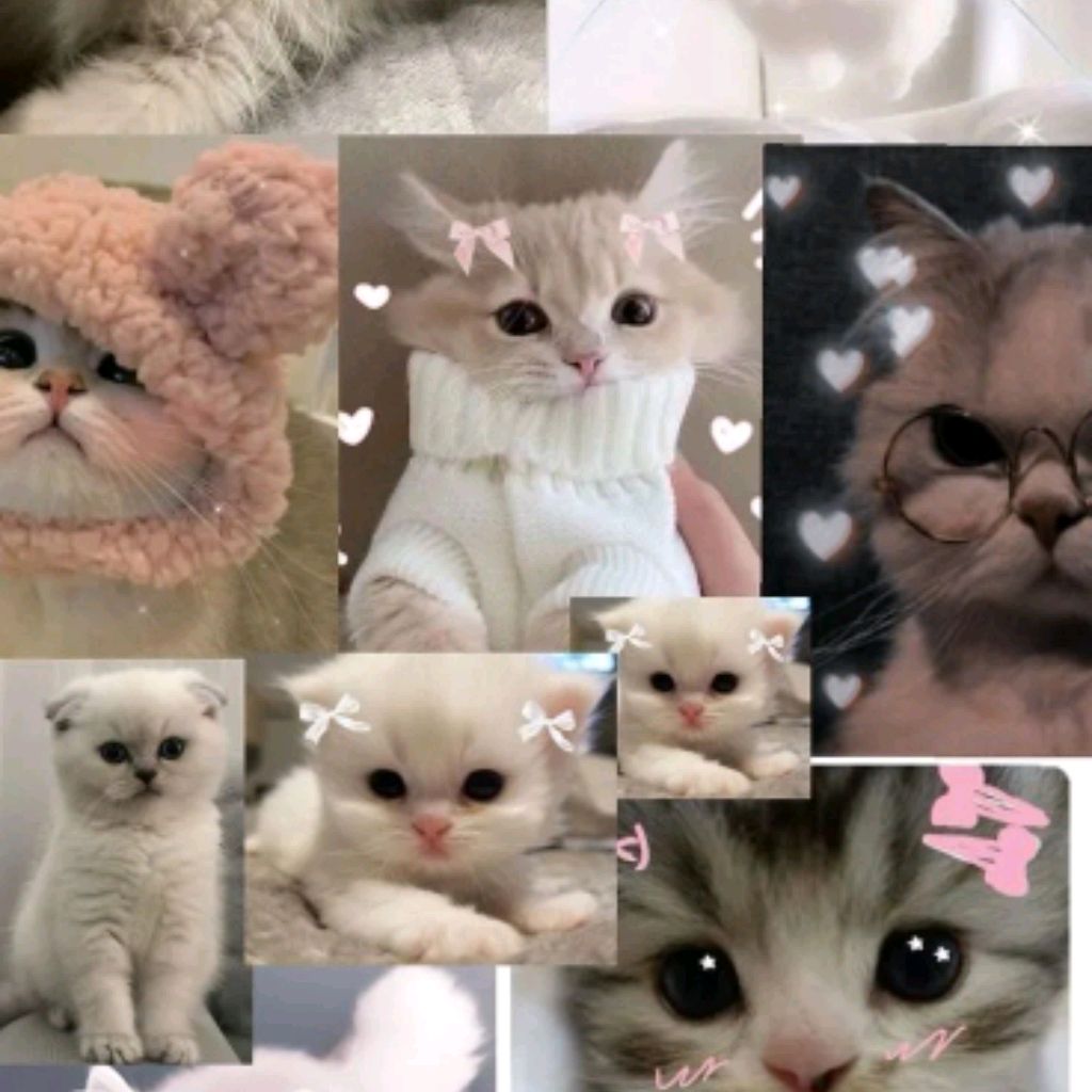 Иконка канала Мини Дабл Бабл