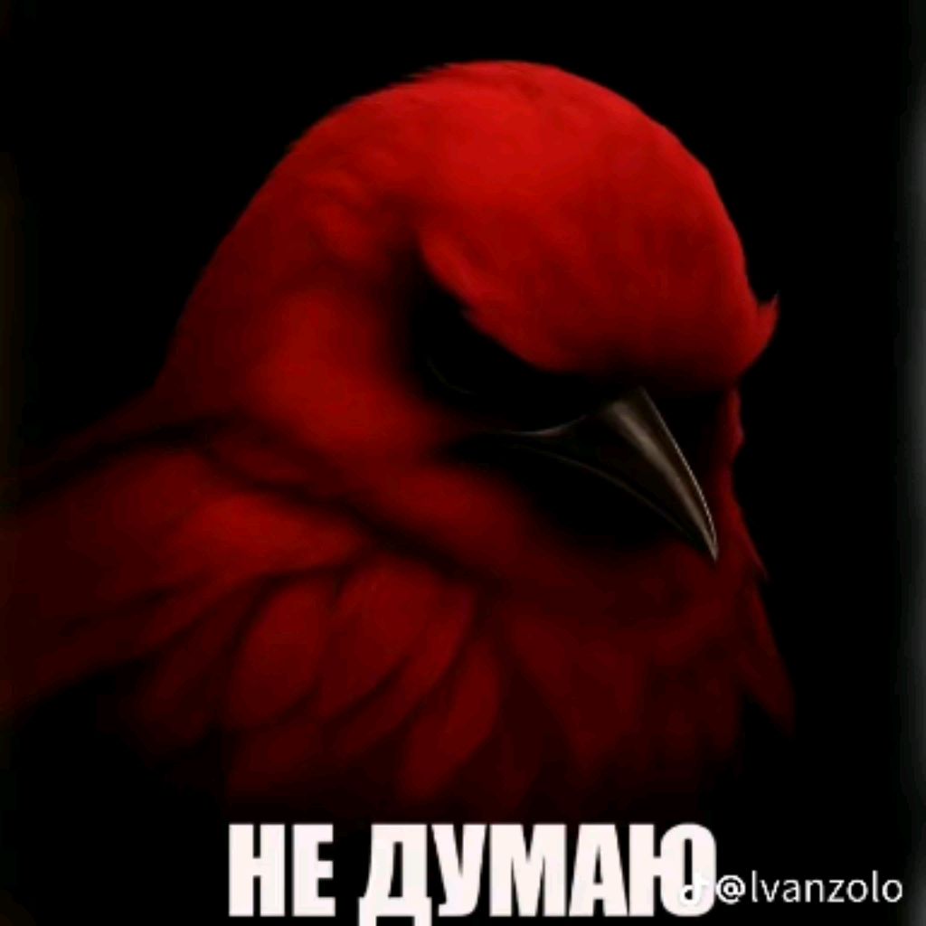 Иконка канала Дядя Паша