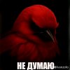 Иконка канала Дядя Паша