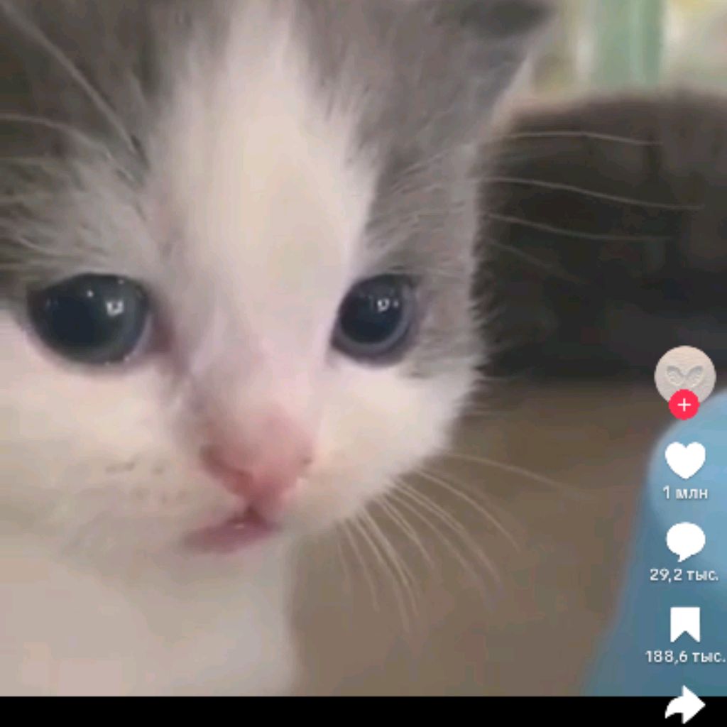 Иконка канала ★хамячок★ :3