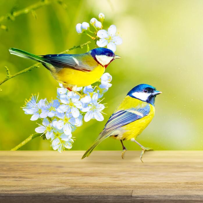 Аватар автора