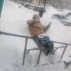 Иконка канала дори