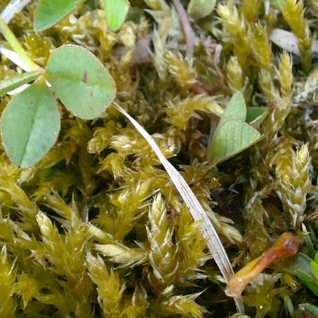 Иконка канала Нок 3000