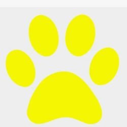 Иконка канала Котёнок Лайм ☑️