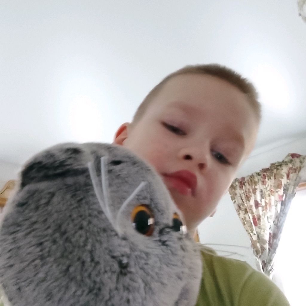 Аватар автора