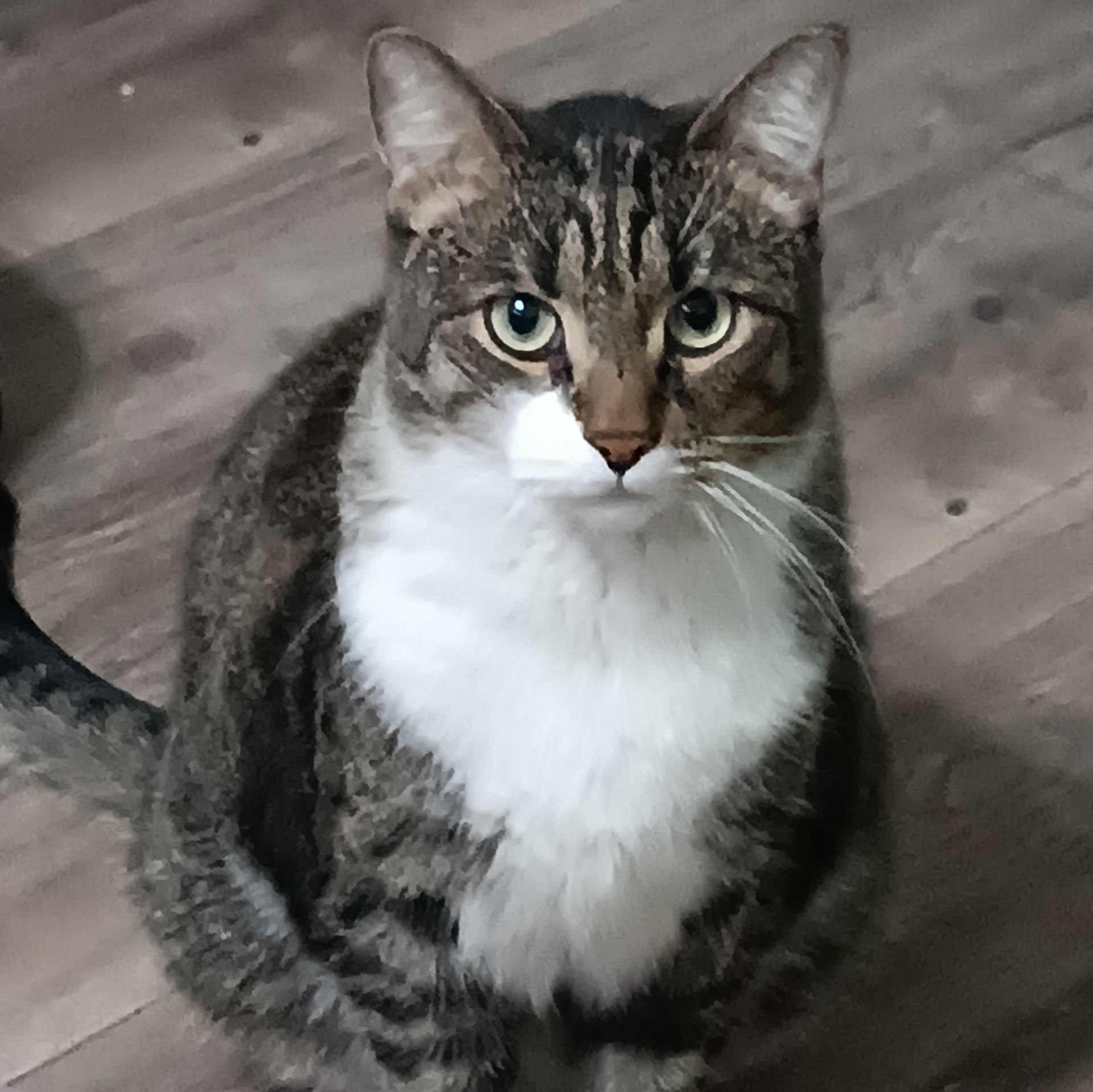 Иконка канала Антон М.  (AHTOXA.RussiaN)