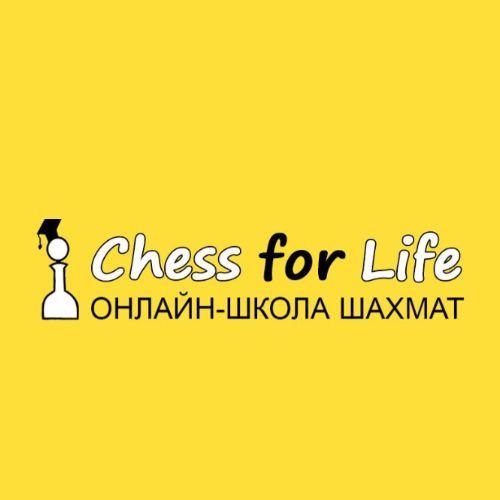 Иконка канала Шахматная онлайн-школа Chess for Life