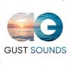 Иконка канала Gust Sounds