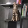 Иконка канала (-_Молли_-)