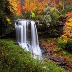 Иконка канала JEREMY GREENWOOD