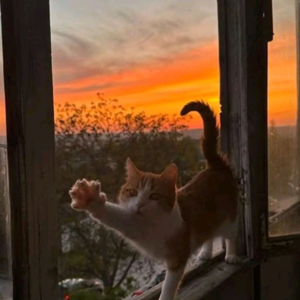 Иконка канала Ухожу☆ (только В рутубе)