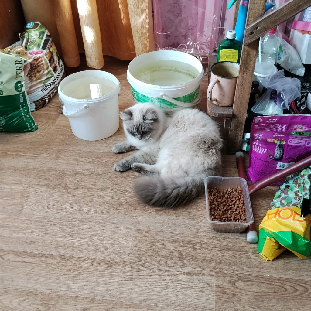 Иконка канала Это тимка