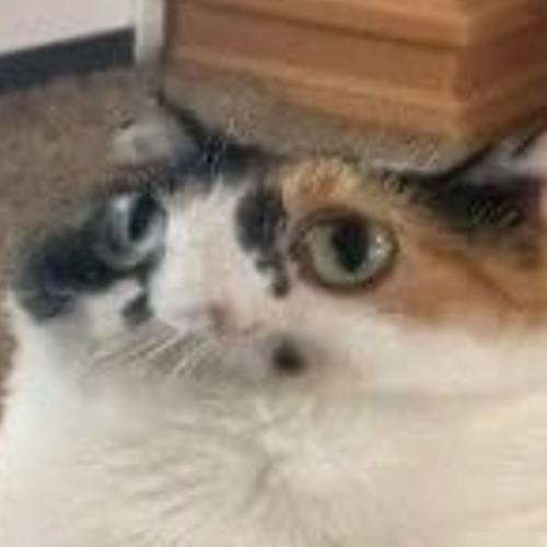 Иконка канала Kerry Shock