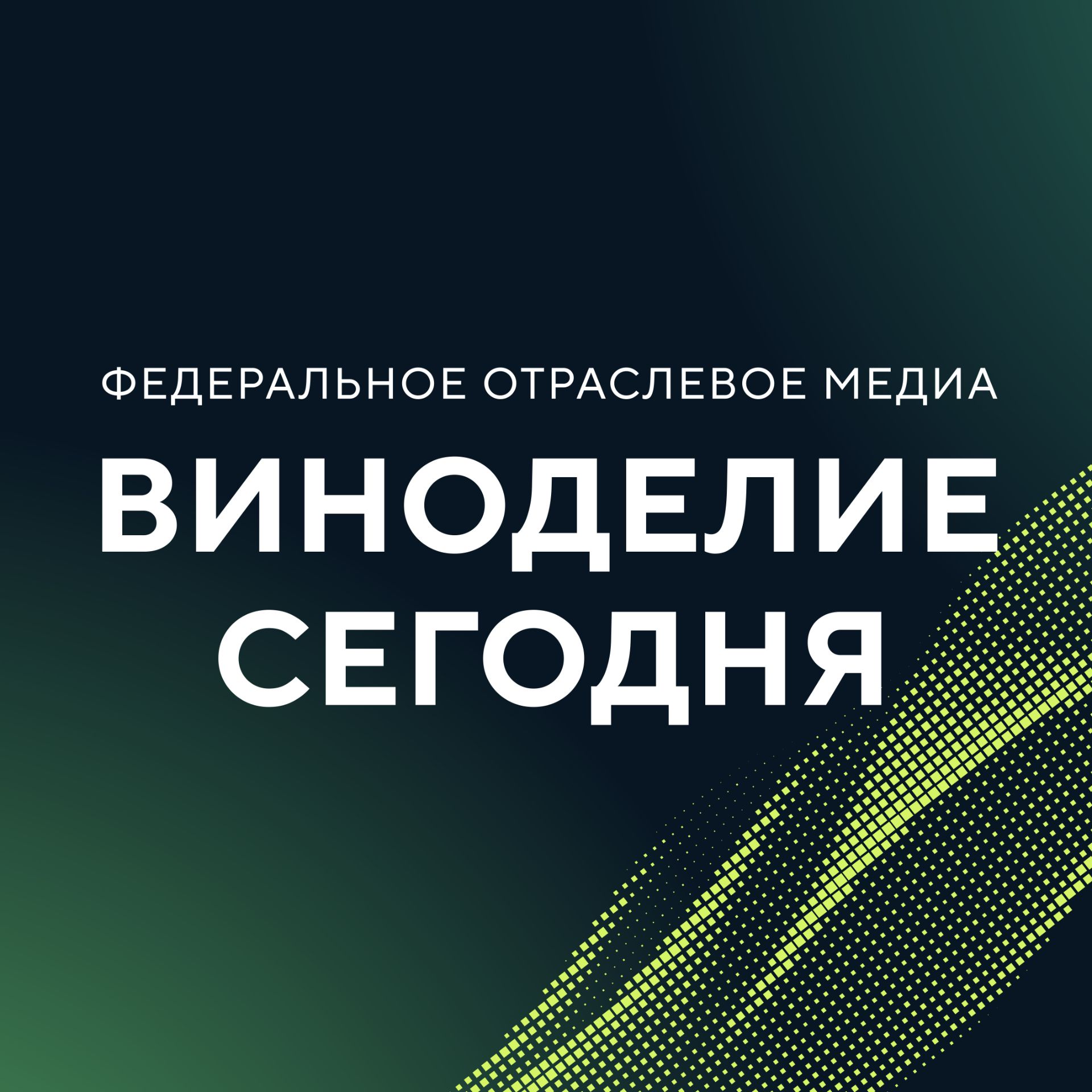 Иконка канала ВИНОДЕЛИЕ СЕГОДНЯ