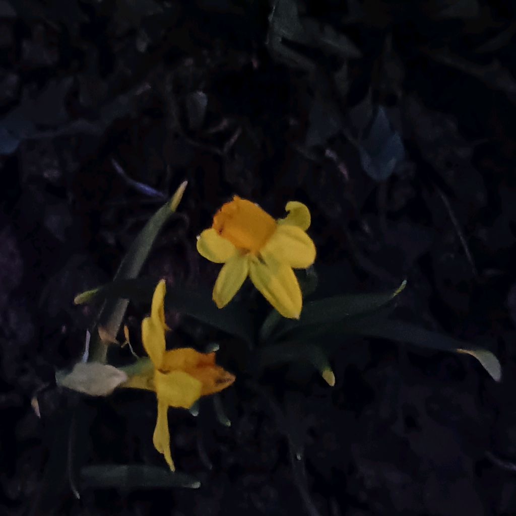 Иконка канала channel52186889