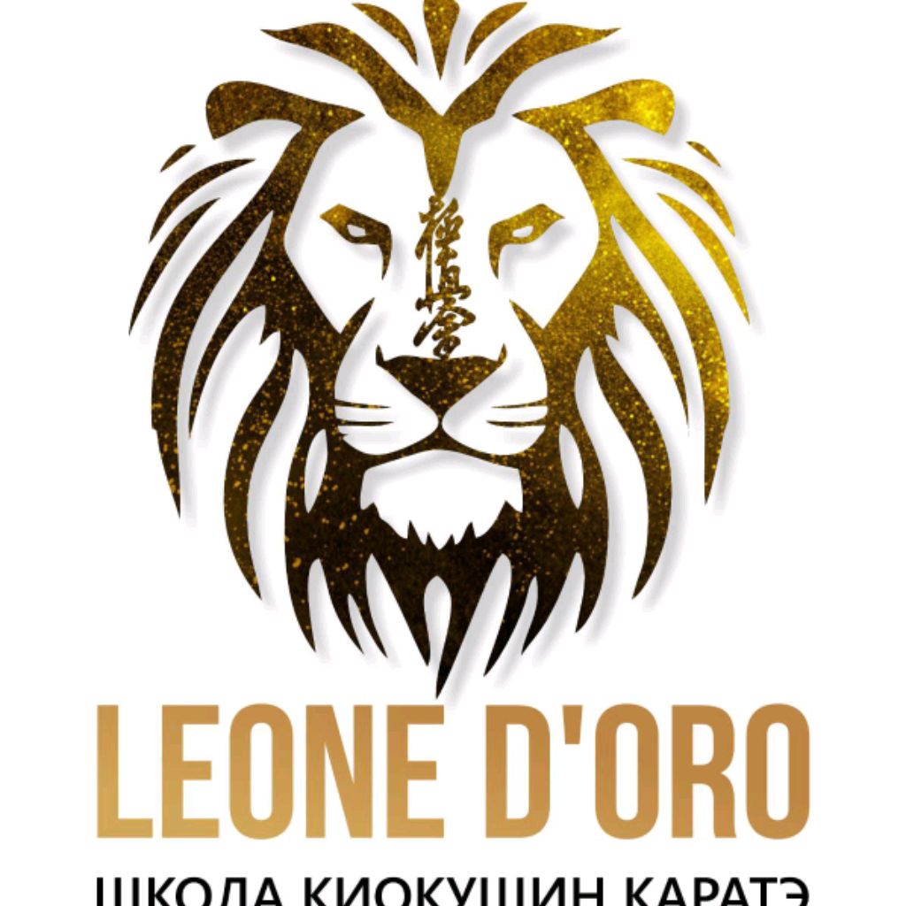 Иконка канала Лев Каратист И Даниил