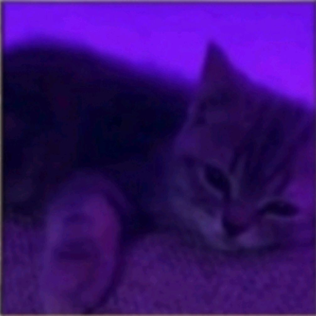 Иконка канала Porsh