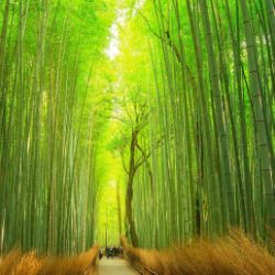 Иконка канала geometri dach